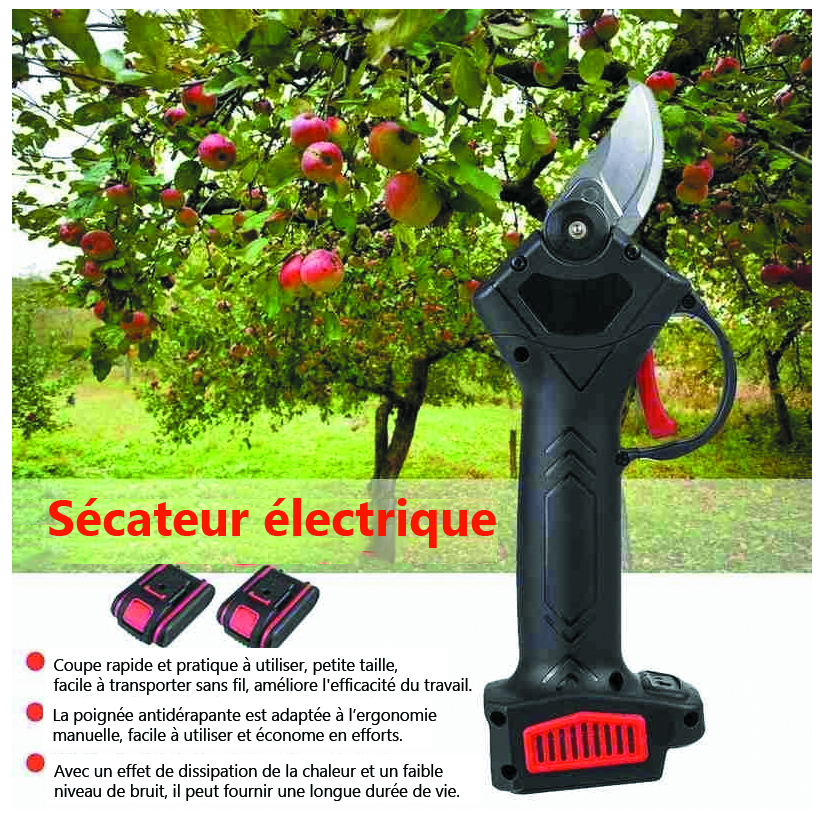 secateur 3
