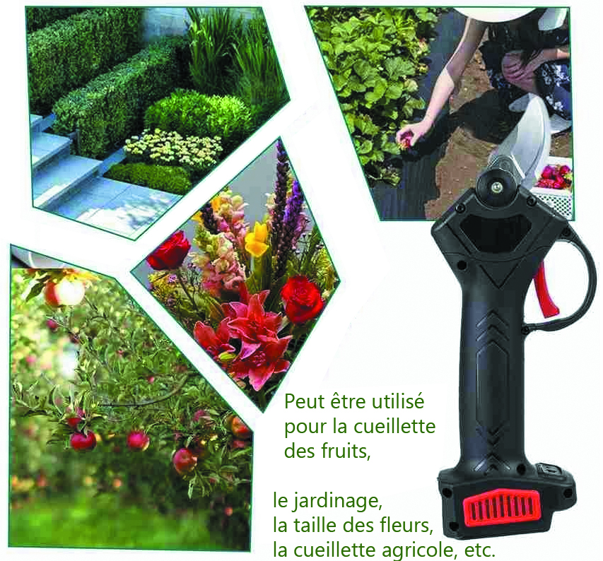 secateur 4