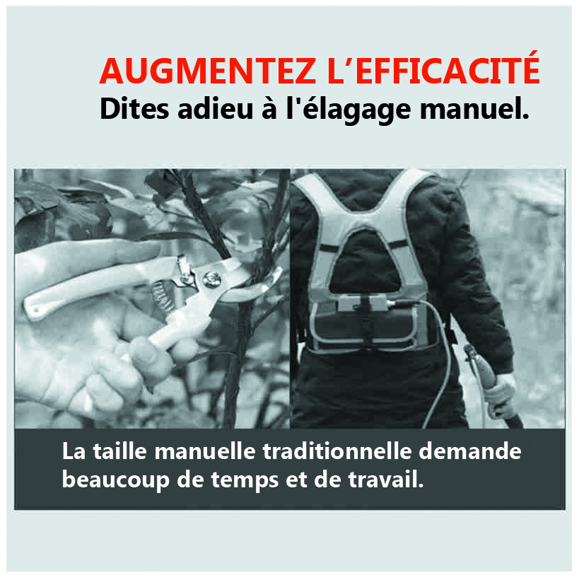 secateur 5